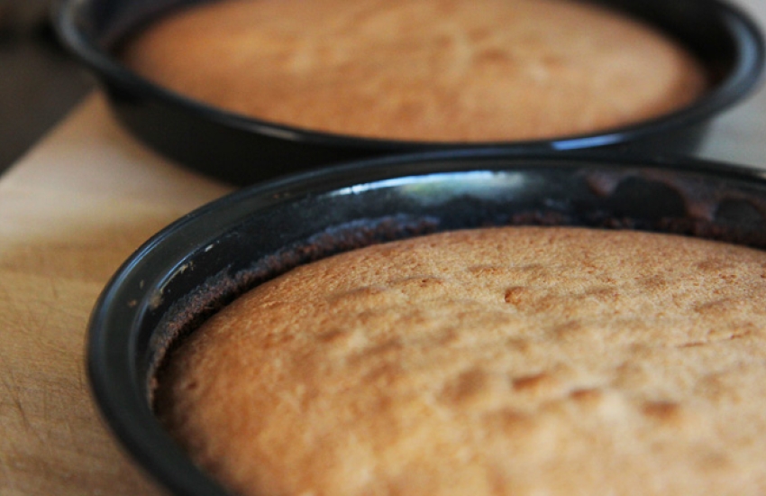 Basic Sponge Cake Recipe