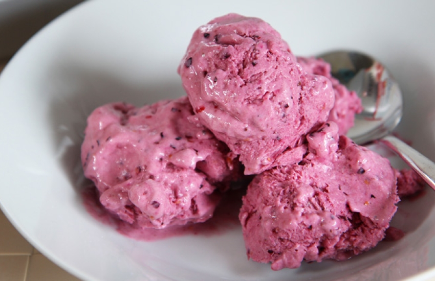 High Protein Frozen Yogurt Recipe