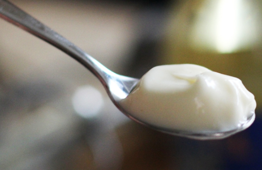 How to make Mayonnaise
