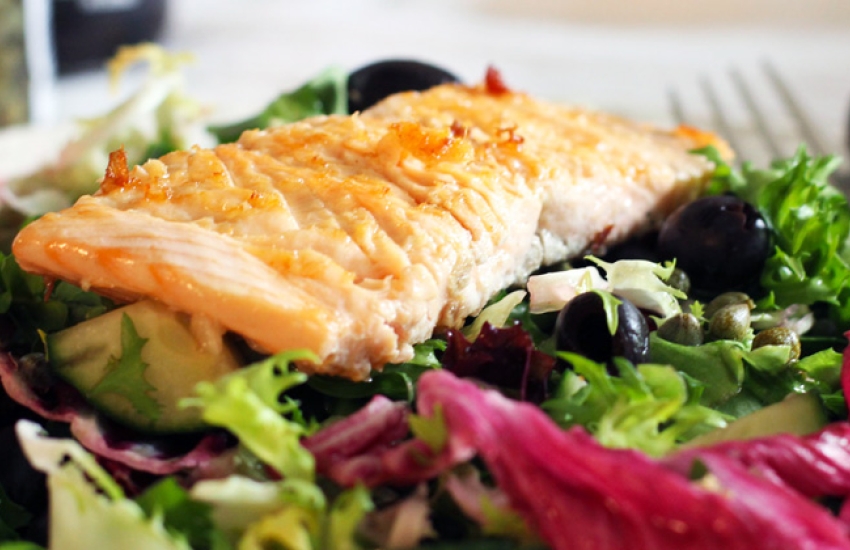 Salmon Salad Recipe