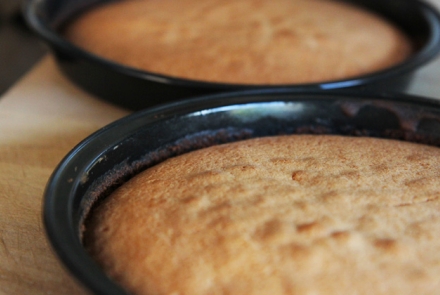 Basic Sponge Cake Recipe