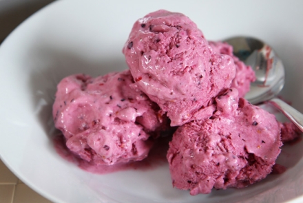 High Protein Frozen Yogurt Recipe
