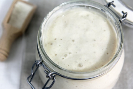 Sourdough Starter Recipe